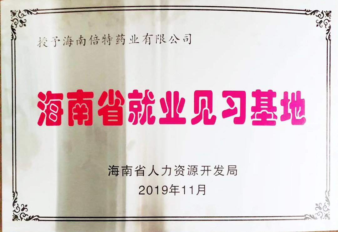 海南省就业见习基地奖牌.jpg